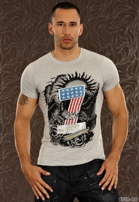 Shirt mit Stars & Stripes Grau